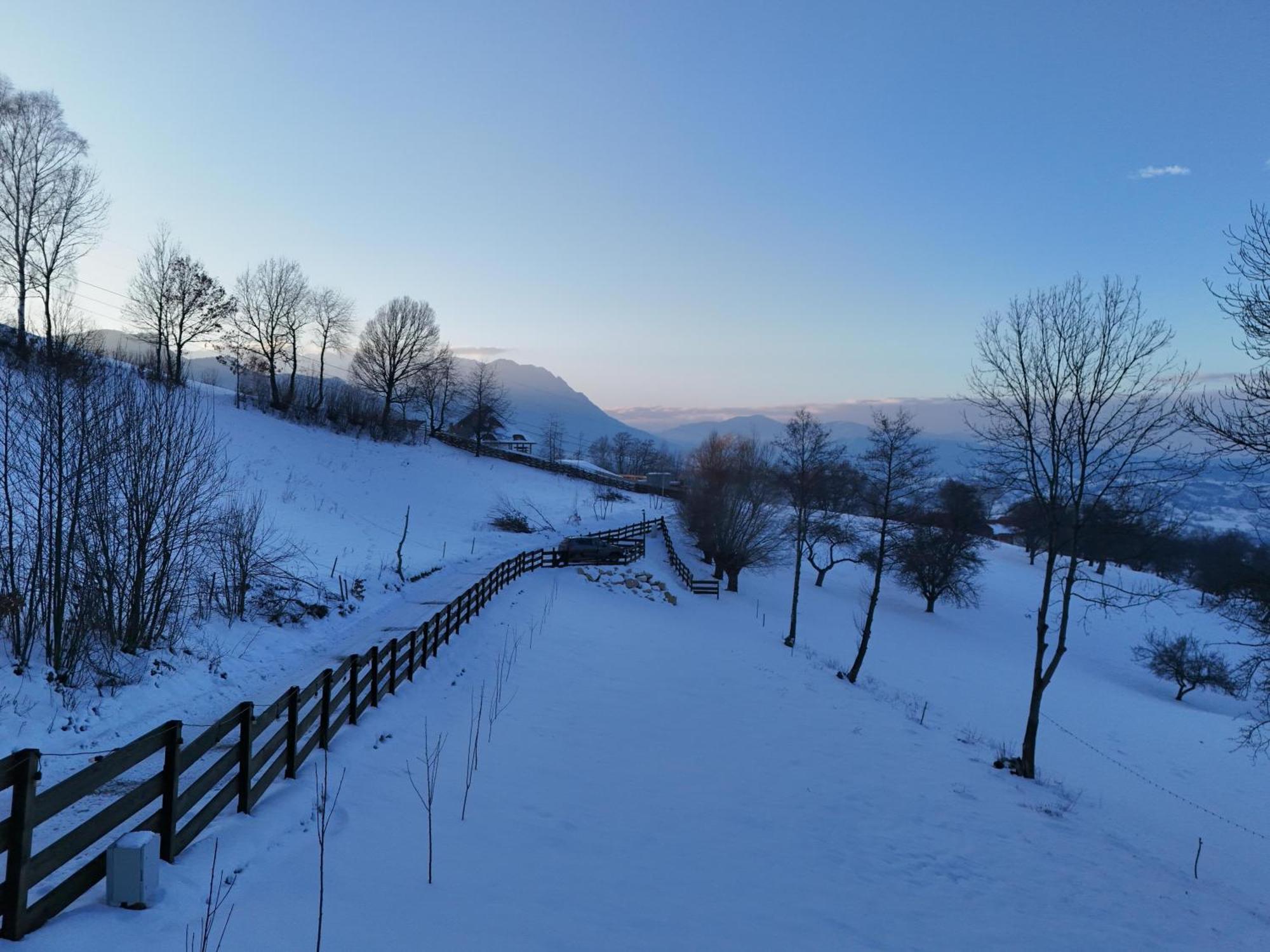 Doza De Verde Retreat&Spa Bran-Adults Only Sohodol  Εξωτερικό φωτογραφία
