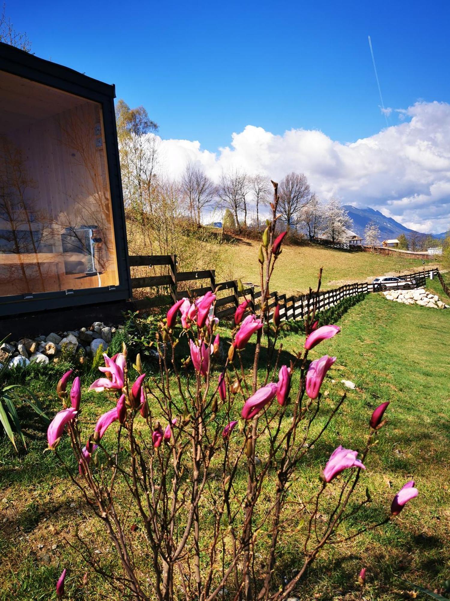 Doza De Verde Retreat&Spa Bran-Adults Only Sohodol  Εξωτερικό φωτογραφία